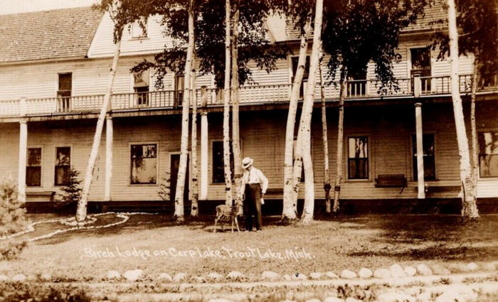 Birch Lodge (Birch Lodge Motel) - Old Postcard